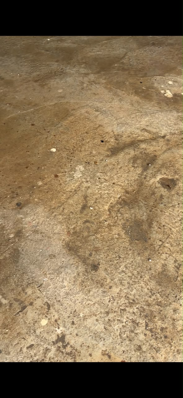 Garage floor scrub before